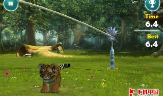 2012最新体感游戏机 2012最新体感游戏机