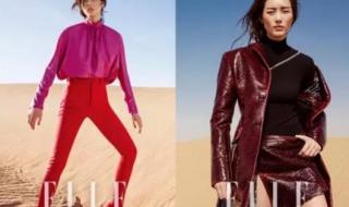 热情的沙漠伴奏 热情的沙漠伴奏